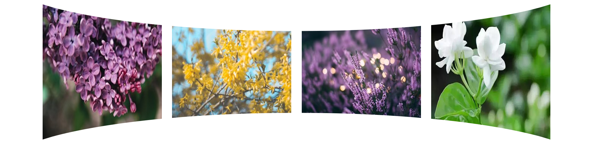 上海钮爱环保科技有限公司官网 上海钮爱环保科技有限公司官网